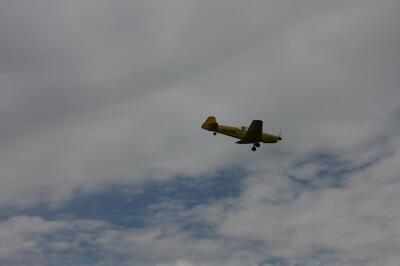 IMG 0876